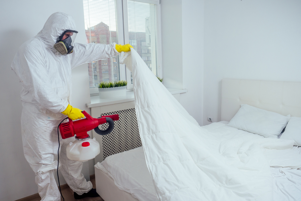 will vinegar kill bed bugs on mattress